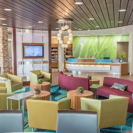 Springhill Suites By Marriott Sumter Buitenkant foto